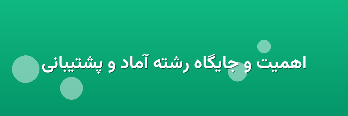 اهمیت و جایگاه رشته آماد و پشتیبانی اهمیت و جایگاه رشته آماد و پشتیبانی