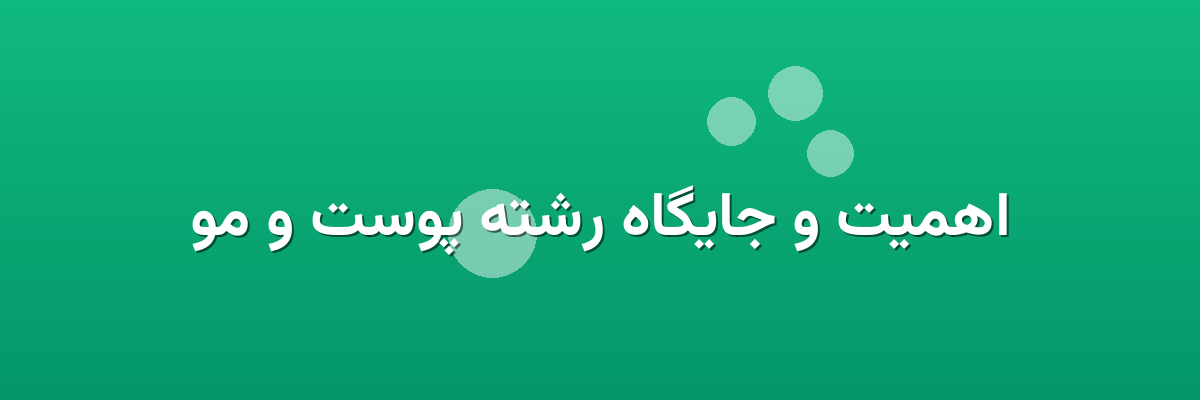 اهمیت و جایگاه رشته پوست و مو اهمیت و جایگاه رشته پوست و مو